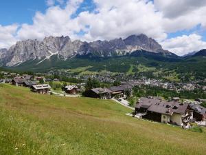 uma aldeia nas montanhas com um campo verde em Casa della Rosa Dolomites experience em Vigo di Cadore