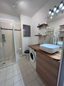 a bathroom with a sink and a washing machine at Studio terrasse et parking privé in Nice