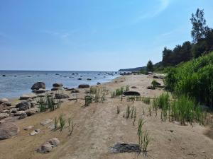 una playa de arena con rocas, césped y agua en Dzintaru apartamenti, en Mērsrags