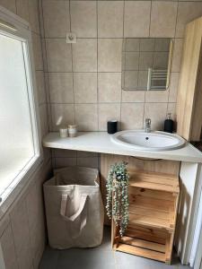 ein Badezimmer mit einem Waschbecken und einer Tasche unter der Theke in der Unterkunft T2 maison entre calme & ville in La Riche