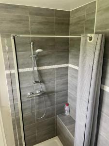 a bathroom with a shower and a toilet at Studio Pessac Centre Tram & Parking in Pessac