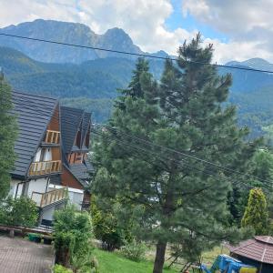 Widok na góry z tej kwatery prywatnej