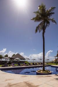 a palm tree next to a swimming pool with chairs at Vila Vagalume in Trairi