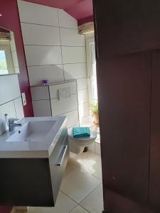 y baño con lavabo y aseo. en GITE DES ANGES, en Barret-sur-Meouge