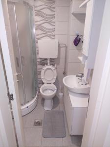 uma casa de banho com um chuveiro, um WC e um lavatório. em Apartman Muzika Jagodina em Jagodina
