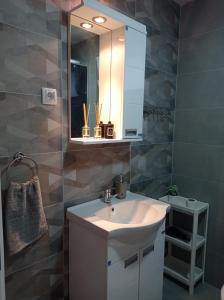 a bathroom with a sink and a mirror at Apartman Plaža 2 in Kladovo
