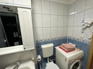 a bathroom with a toilet and a washing machine at Mara in Făgăraş