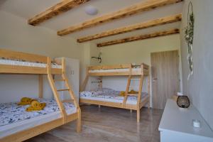 2 łóżka piętrowe w pokoju z drewnianym sufitem w obiekcie Apart Kobylí w mieście Kobylí