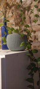 Φωτογραφία από το άλμπουμ του Departamento familiar σε General Roca