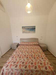 1 dormitorio con 1 cama grande en una habitación en Cottage L'Americano, en Positano