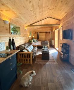 einen Hund, der in einem Wohnzimmer in einer Hütte sitzt in der Unterkunft TVF Stable Suites in Nether Stowey