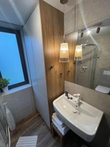 W łazience znajduje się umywalka i lustro. w obiekcie Apartamenty Leśne Historie 1 w mieście Gołuchów