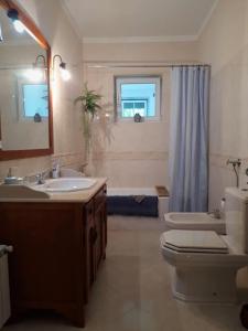 托馬爾的住宿－Casa Azul Tomar privé vakantiehuis，一间带水槽、卫生间和镜子的浴室