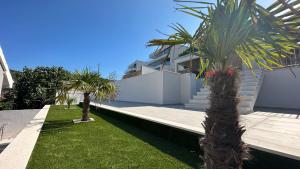 a house with two palm trees in a yard at APARTMENTS MARINA in Marina