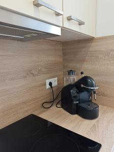 Fotografie z fotogalerie ubytování Olympia Apartment v destinaci Latschach ober dem Faakersee + 19 fotografií