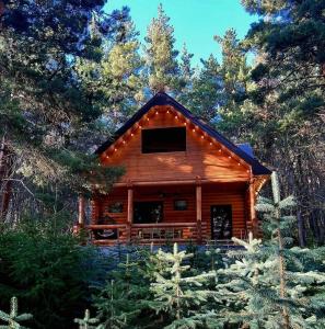 a log cabin in the woods with trees at Yeghevni Rest House in Jermuk