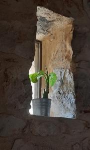 Foto dalla galleria di A Staccia a Ragusa
