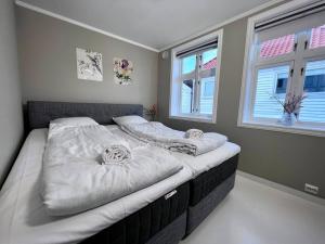1 cama grande en un dormitorio con 2 almohadas en The Green Door H2 en Stavanger