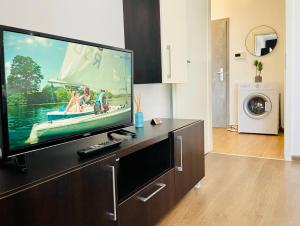 a living room with a large flat screen tv at Aventurescu Studio Brasov Coresi in Braşov