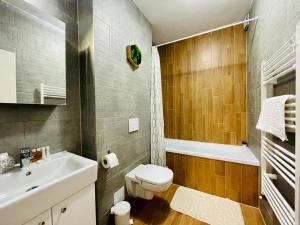 a bathroom with a white toilet and a sink at Aventurescu Studio Brasov Coresi in Braşov