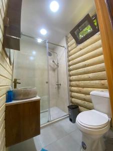 a bathroom with a shower and a toilet and a sink at Guest House on Angisa in Batumi