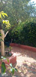 a tree in a courtyard next to a brick wall at Appartement avec jardin in Roquebrune-Cap-Martin