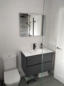 a bathroom with a toilet and a sink and a mirror at Vilar d'Aro Apartment in S'Agaro