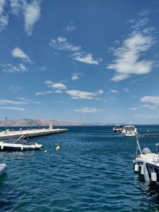 a group of boats docked in a body of water at Apartment ANGELOVE in Senj