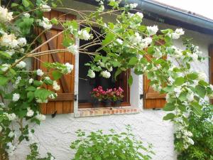 Una ventana de una casa con flores. en Aux Marguerites, en Sainte-Geneviève-lès-Gasny