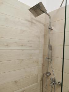 La salle de bains est pourvue d'une douche avec un pommeau de douche. dans l'établissement IRINI'S HOUSE, à Toroni