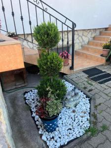 a garden of rocks and plants in front of a staircase at Rege apartman in Alsóörs