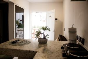 a room with a table with a potted plant on it at La Quinta Caribeña in Playa del Carmen