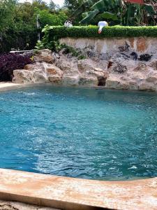 a swimming pool with blue water in a yard at VILLA DEL CIELO TIXPEHUAL in Tixpehual +22 photos