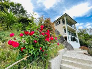 的住宿－Quinta Alma Verde，前面有红玫瑰的房子