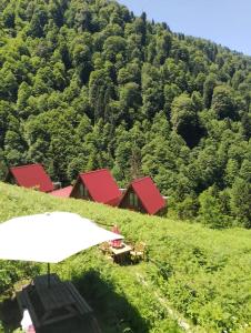 a table with an umbrella in front of a mountain at Ayder Rainbow Gokkusagi in Ayder Yaylasi