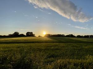 ビスターにあるThe Windmill Blackthorn Hillの空の日が降り注ぐ緑草原