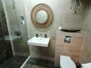 a bathroom with a sink and a mirror and a toilet at Apartments Villa Kukoljac in Herceg-Novi