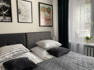 un letto con due cuscini sopra in una camera da letto di Apartament Schodami do Nieba a Bytom