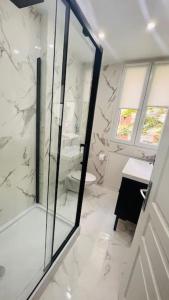 ein weißes Bad mit einer Dusche und einem WC in der Unterkunft Studio cosy Buttes-Chaumont in Paris