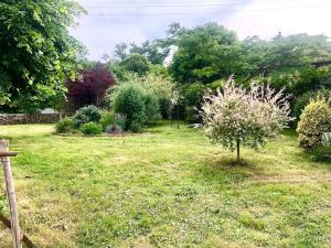 een tuin met een kleine boom in het gras bij Charmant cottage à la campagne in Marval