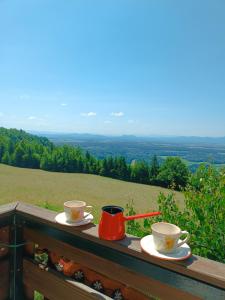 Gallery image of Kralj Matjaž - the green escape under Alps in Golnik +20 photos