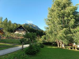 einen Hof mit einem Baum und einem Blockhaus in der Unterkunft Kralj Matjaž - the green escape under Alps in Golnik