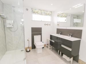 ein Bad mit einem Waschbecken, einem WC und einer Dusche in der Unterkunft Capel Mawr, Basement 19 in Caernarfon