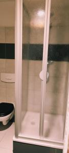 um chuveiro com uma porta de vidro na casa de banho em Ferienwohnung Trinitatis em Sondershausen