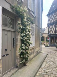 un edificio con una porta con una pianta sopra di Hyper centre gordaine #4 a Bourges