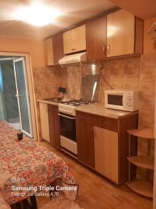 a kitchen with a stove and a microwave at Casa de vacanta La Fane in Valcea