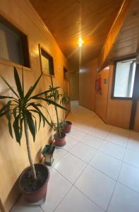Фотография из галереи Hotel Palermo Quintero в городе Кинтеро