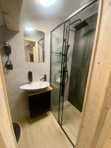 a bathroom with a sink and a shower at Apartament Widoknastok in Korbielów