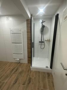 a shower with a glass door in a bathroom at Gasthaus zu den 7 Winden in Spaichingen