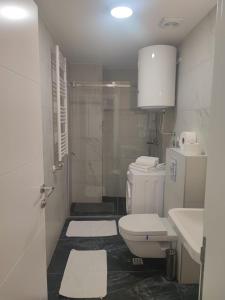 La salle de bains est pourvue de toilettes, d'un lavabo et d'une douche. dans l'établissement Nirvana SPA Center, à Belgrade
